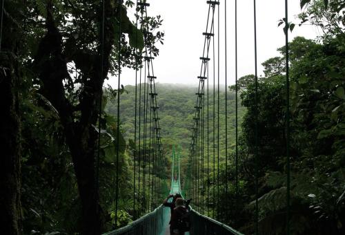 Monteverde cloud forest